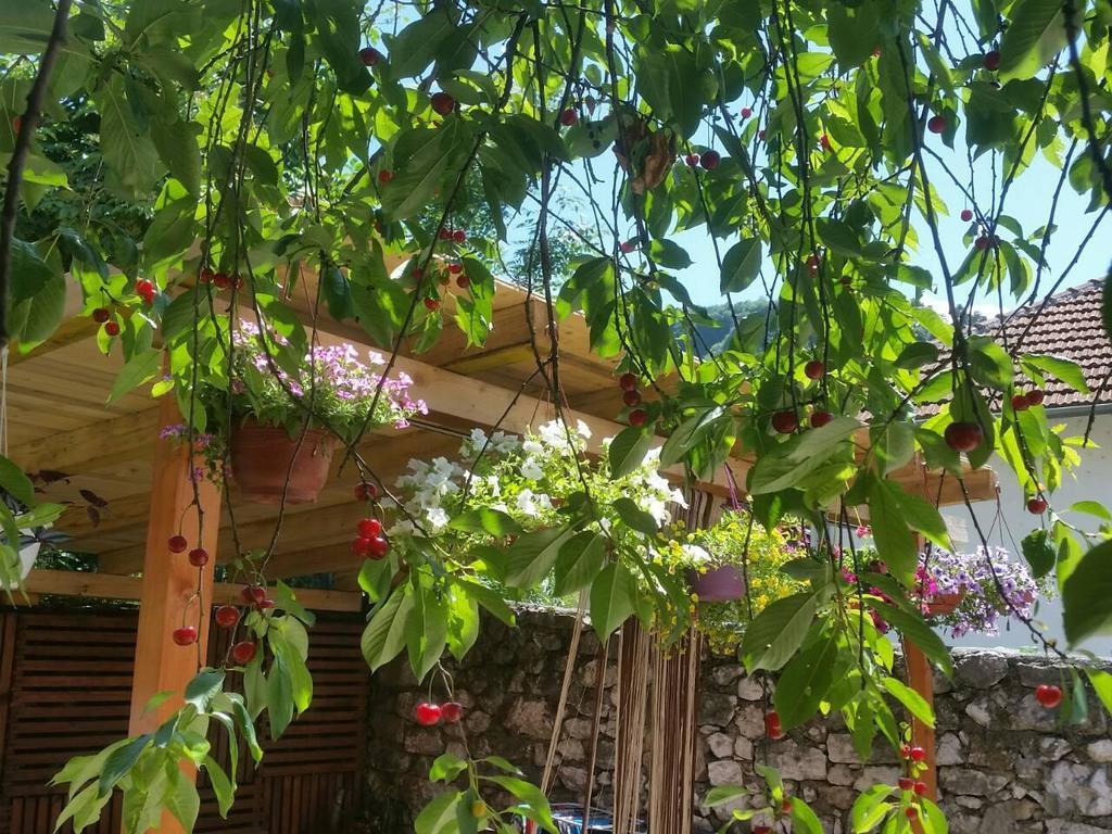 Bto Holiday Home Σαράγεβο Εξωτερικό φωτογραφία